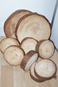 Our selection of 12 tree rounds, in need of a good sanding!